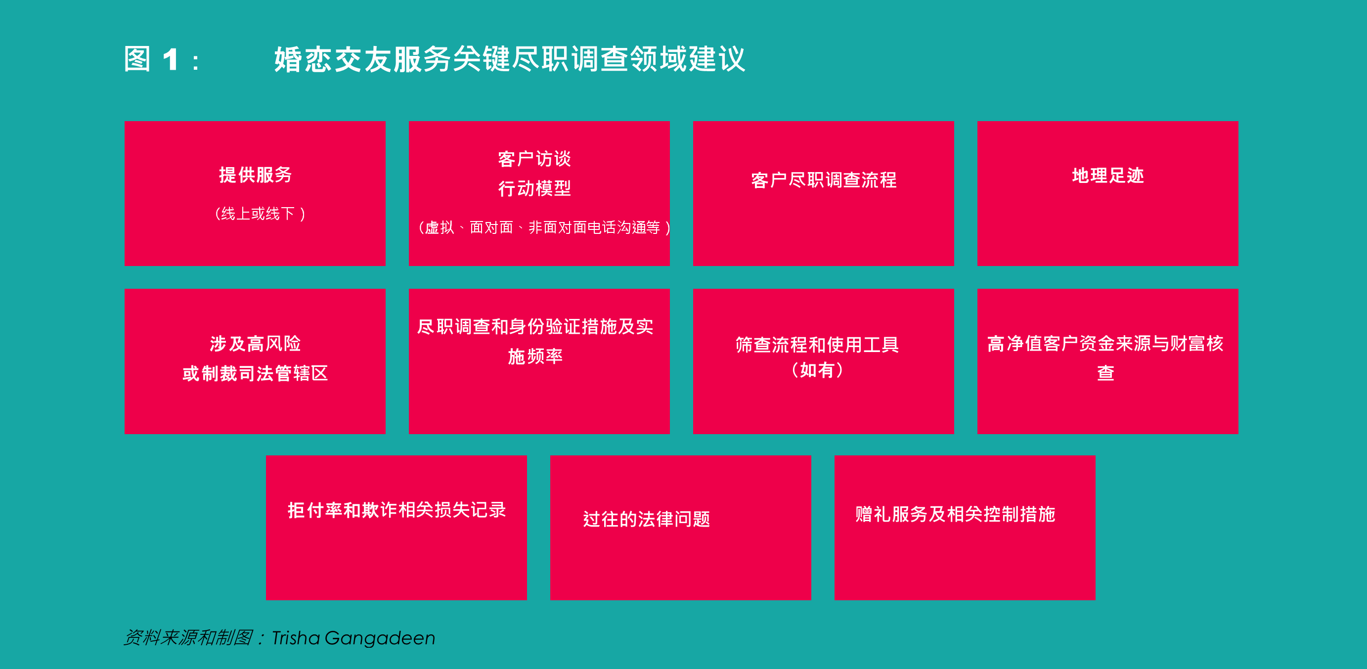 图 1：	婚恋交友服务关键尽职调查领域建议