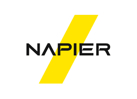 Napier Intelligent Compliance Logo