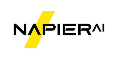 NapierAI Logo